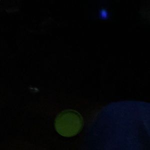 Meet your Posher, Peter